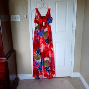 BRAND NEW WITH TAGS DRESS